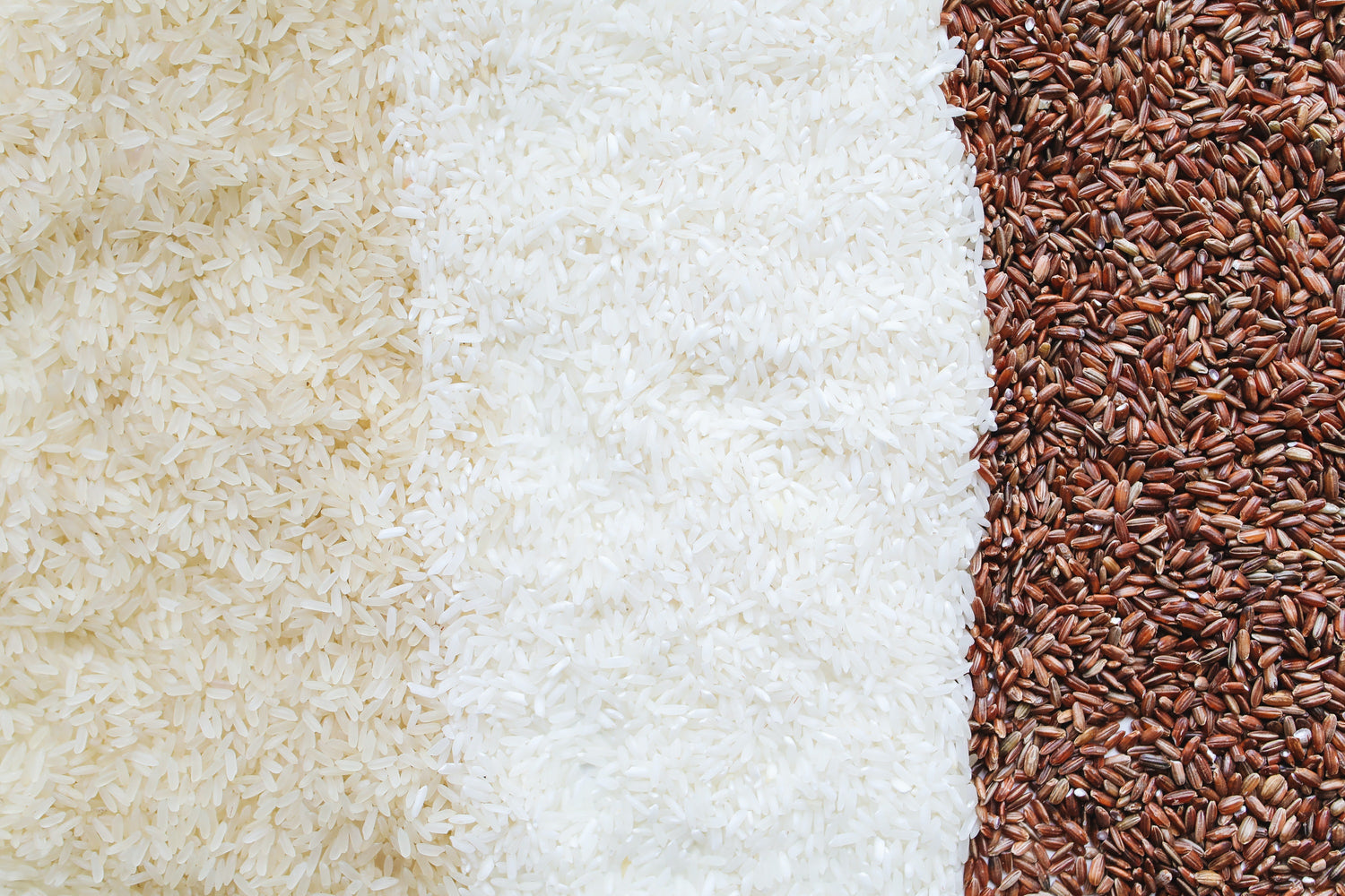 Rice Lentils Dal
