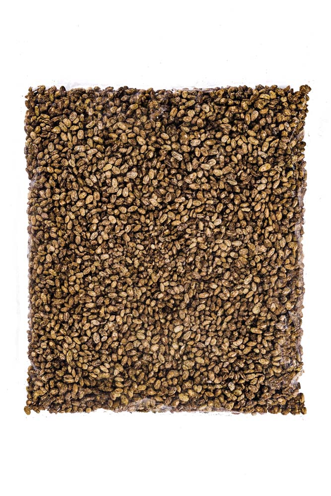 Red Barley Koji (Wheat Free, Dairy Free), Organic