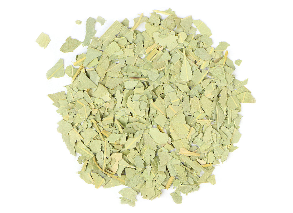 Eucalyptus (Eucalyptus Globulus) Leaf, c/s