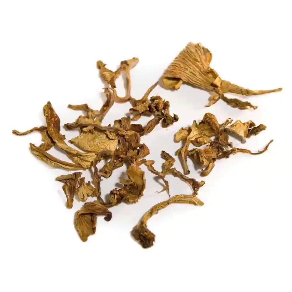 Paddy Straw Mushroom