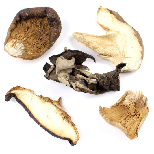 Forest Blend, Dried Mushroom