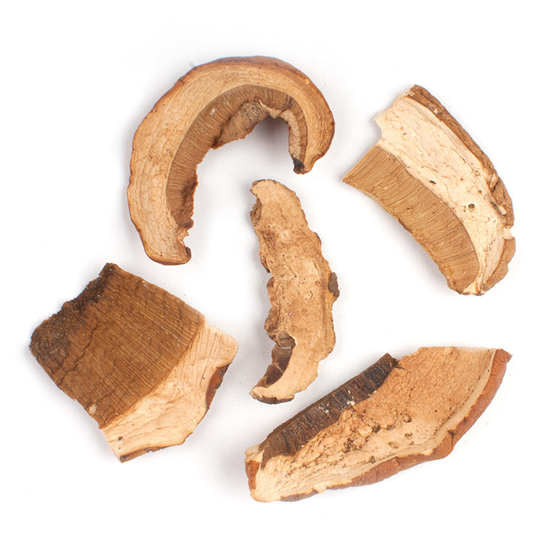 Porcini Mushroom Grade AA