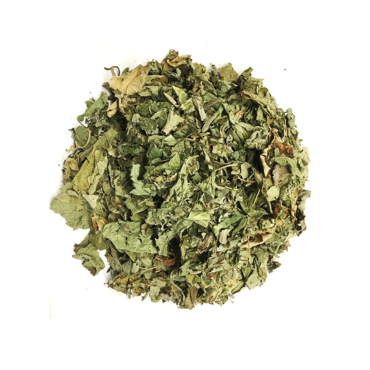 Blue Mallow (Malva) Leaf (Malva Sylvestris)