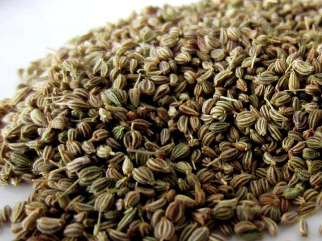 ajwain seeds plant Mama Meah Ajwain (Carom) Seeds
