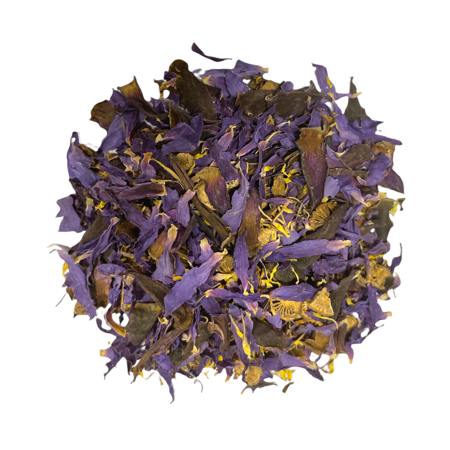 Lotus Flower Petals Blue (Nymphaea Caerulea)