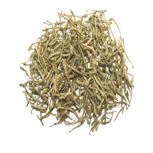 Honeysuckle Flowers (Lonicera japonica)