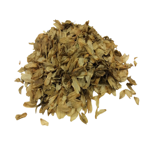 Hops Flowers (Humulus lupulus)