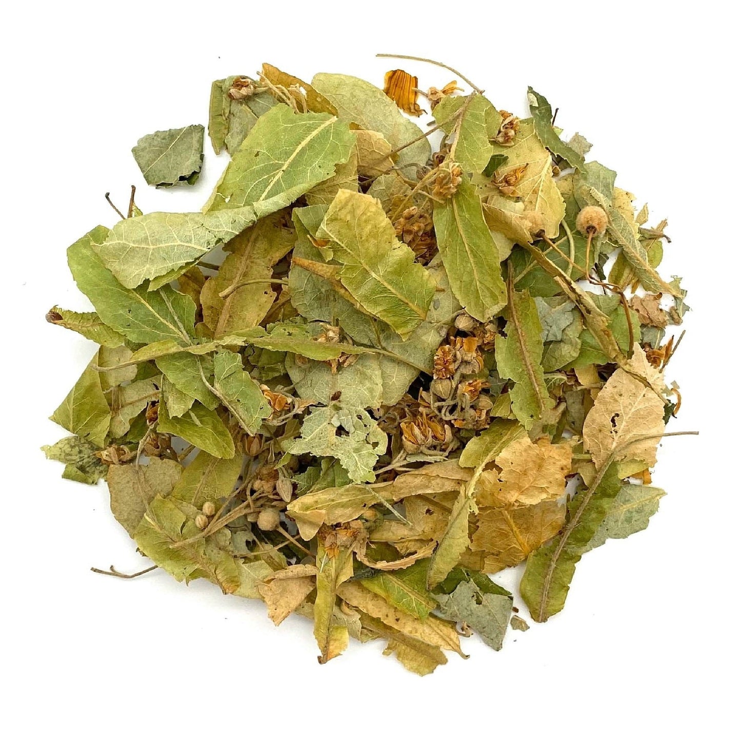 Linden Flowers (Tilia species), Whole