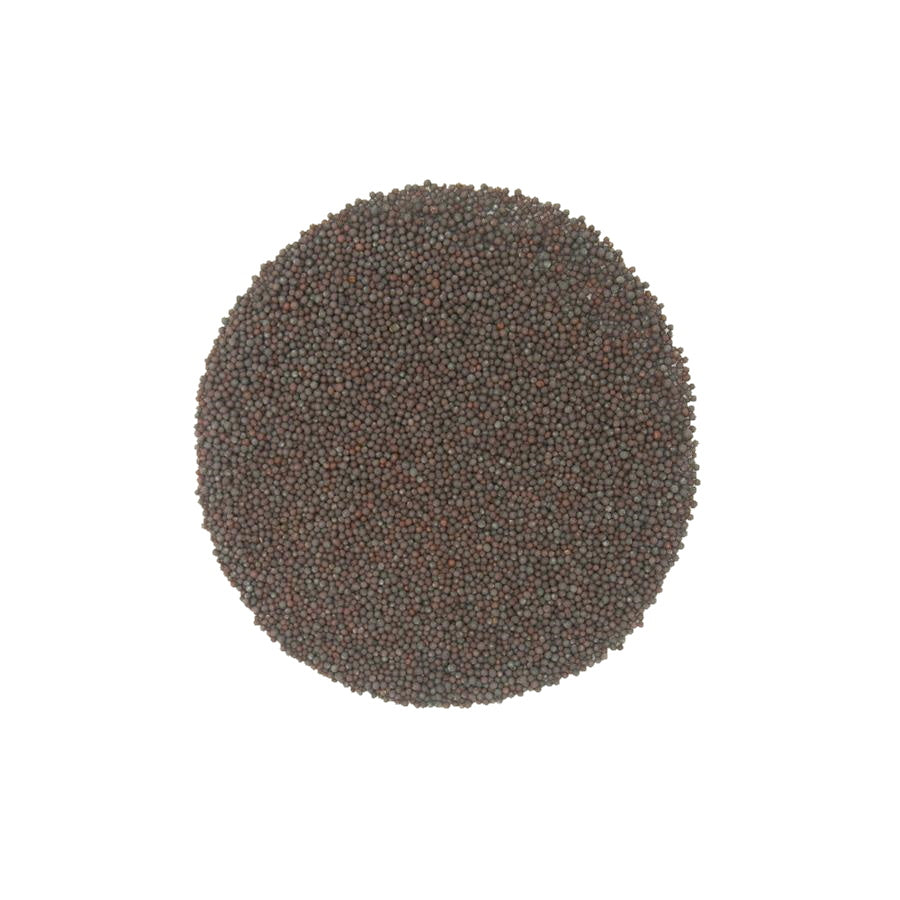 Mustard Seed Brown, Andhra