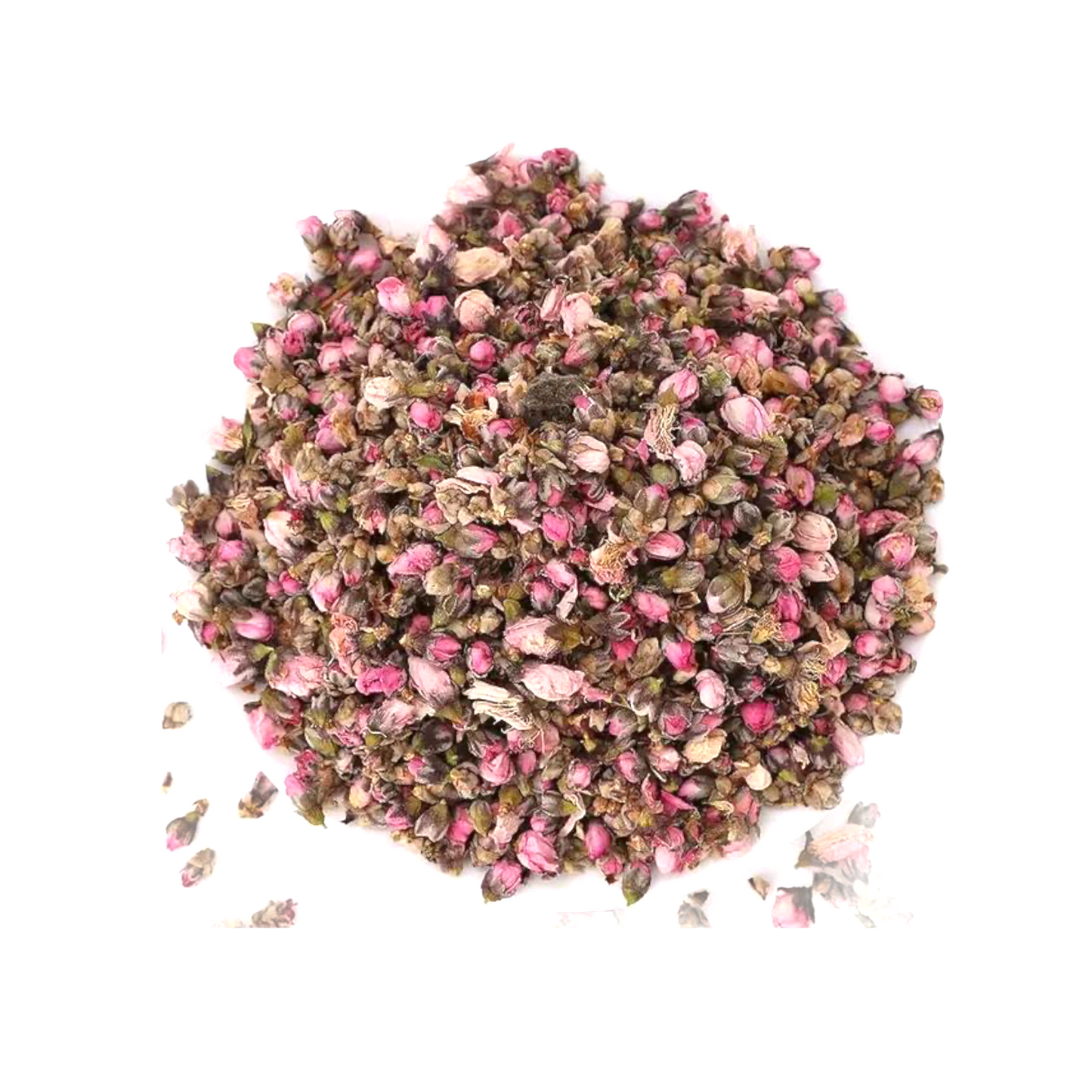 Peach Blossom Flowers (Prunus persica)