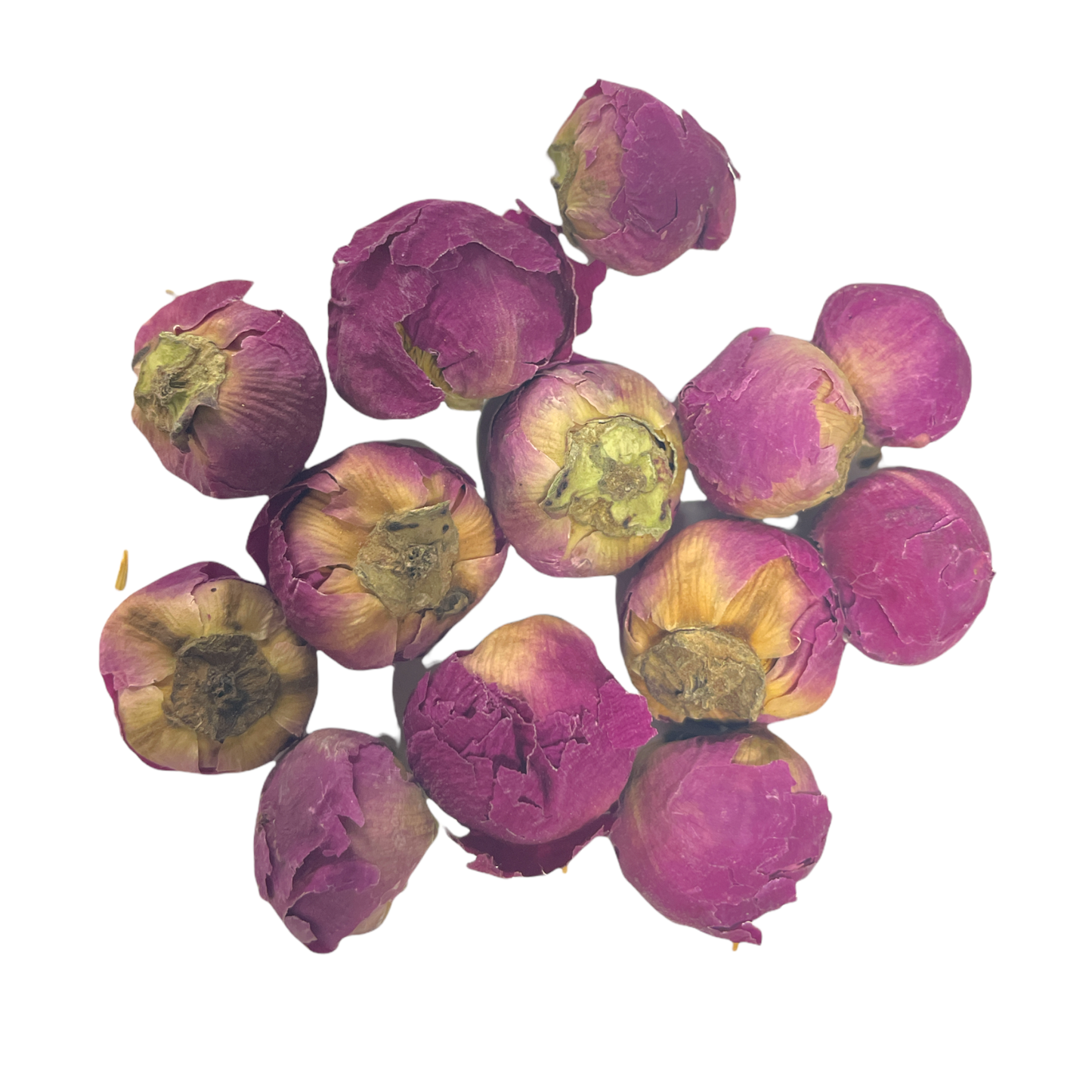 Peony Flower Buds (Luoyang flower)