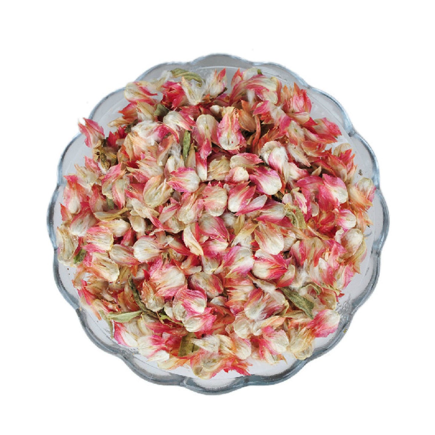 Plum (Red) Blossom Flowers (Prunus Mume)