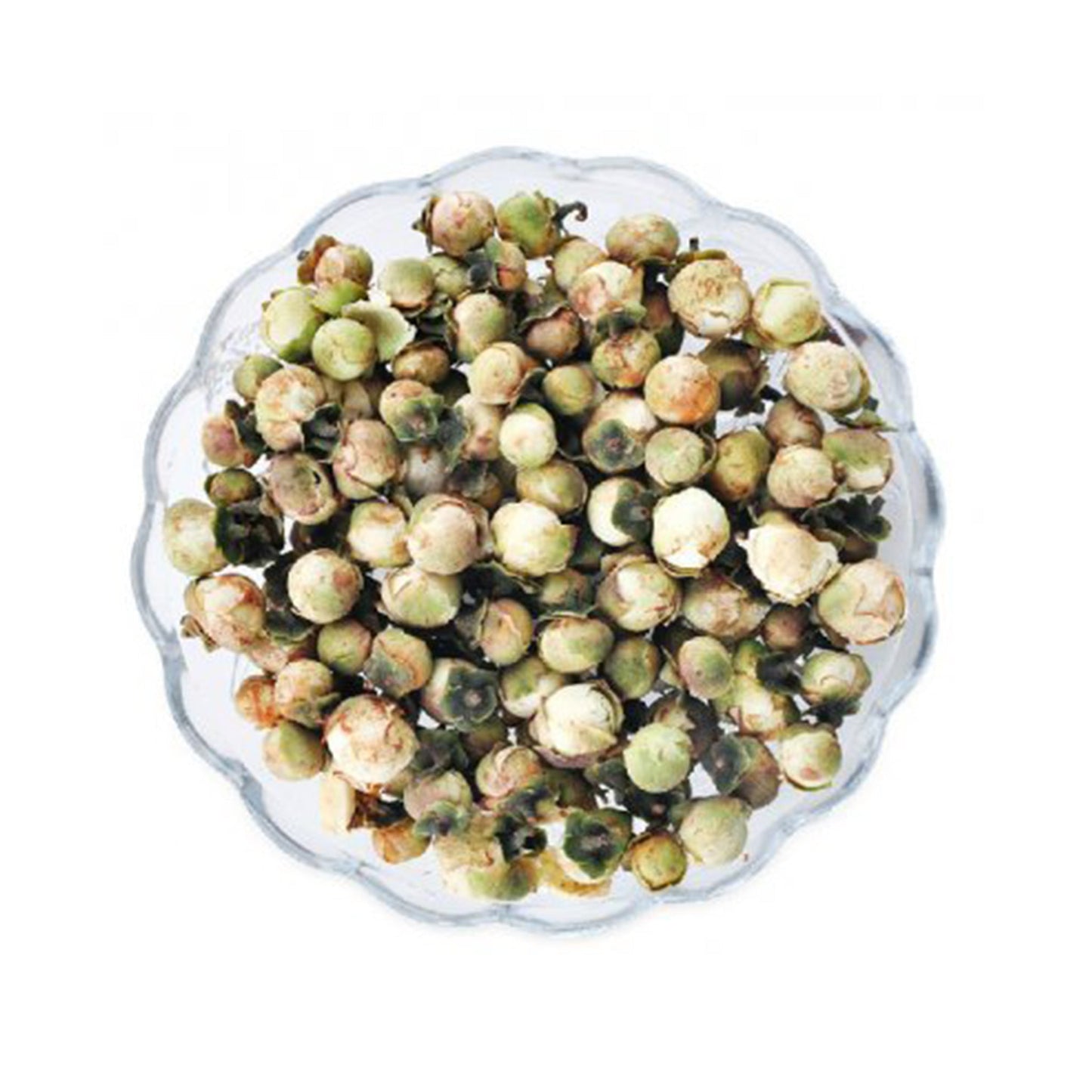 Plum (Snow) Blossom Flowers (Prunus Mume)