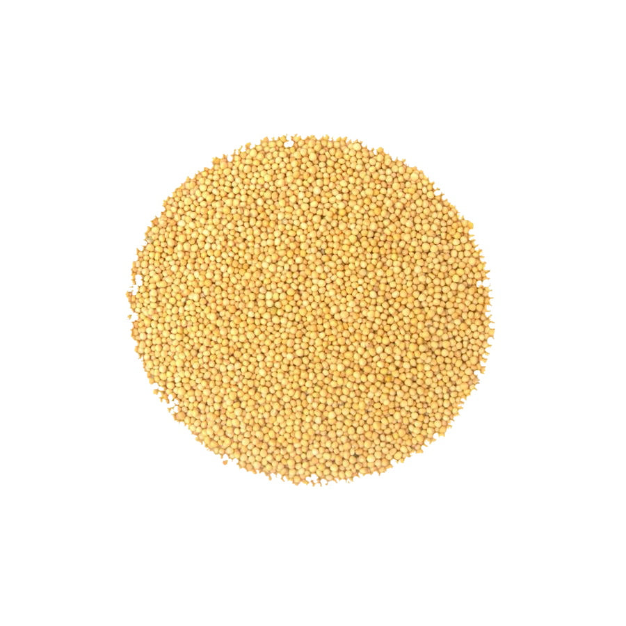 Yellow Mustard Seed