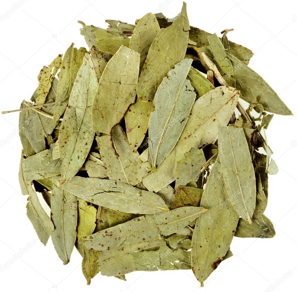 thumbnail image 2 of IAG Foods Dried Curry Leaves - 50gm (1.76 Oz) - Single Spice From Sri Lanka 2 of 4