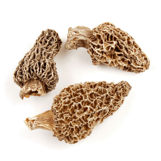 Morel Mushroom, Dried