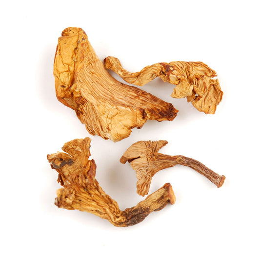 Chanterelles, Dried Mushroom