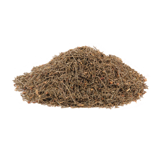 Pine Needles (Pinus strobus)