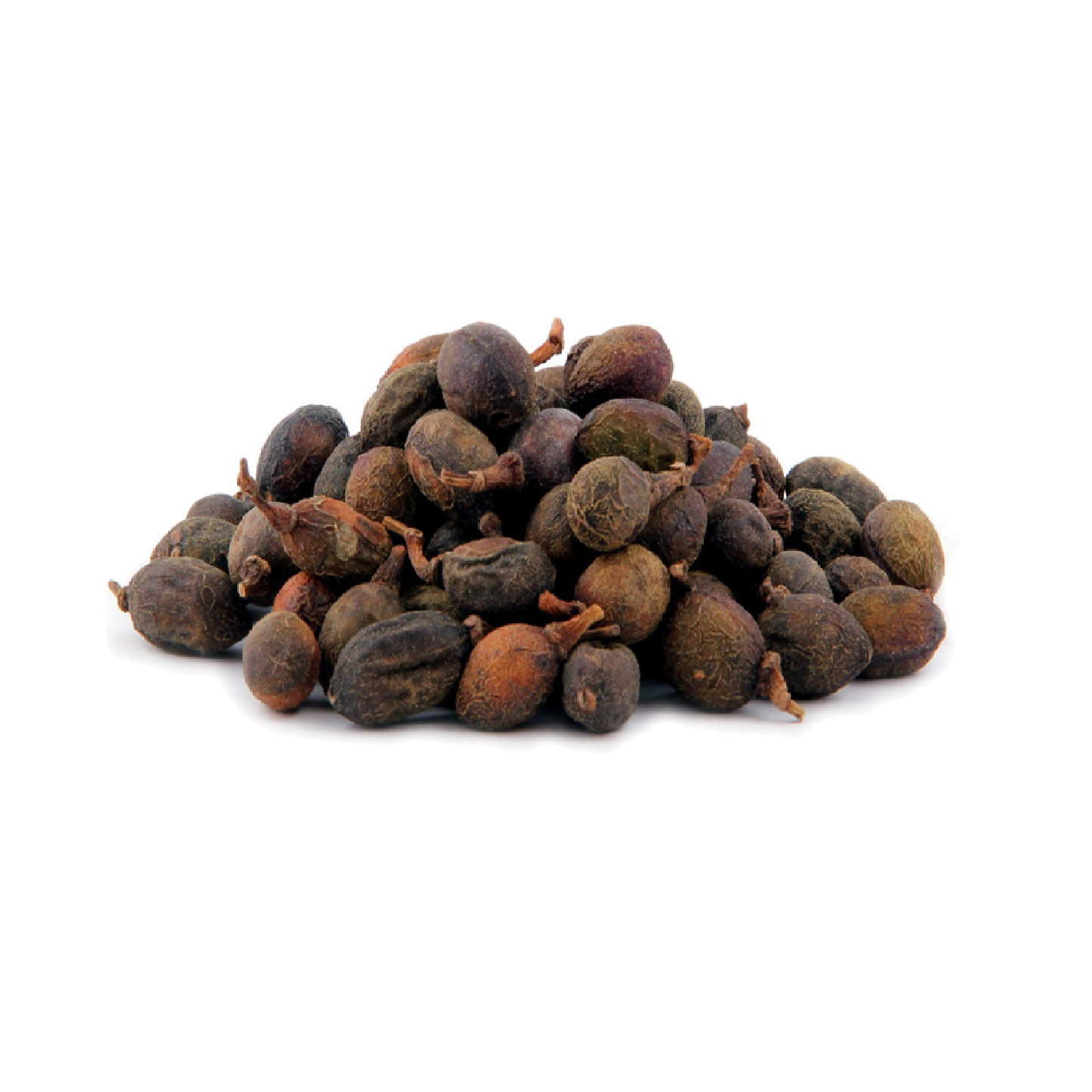 Bay Laurel Berries (Laurus Nobilis)
