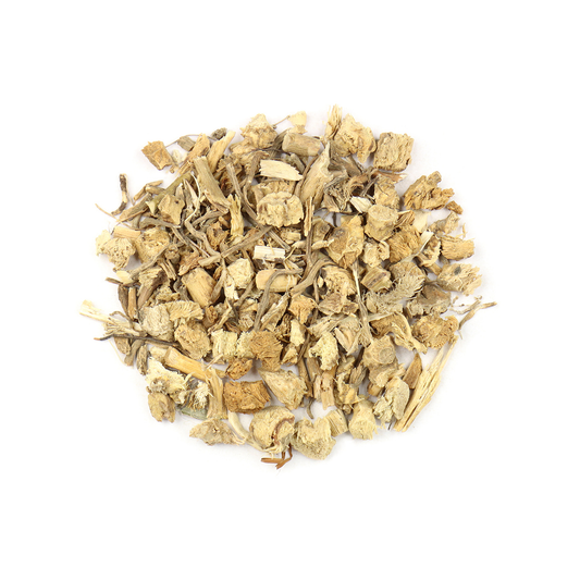 Butcher's Broom Root (Ruscus aculeatus)