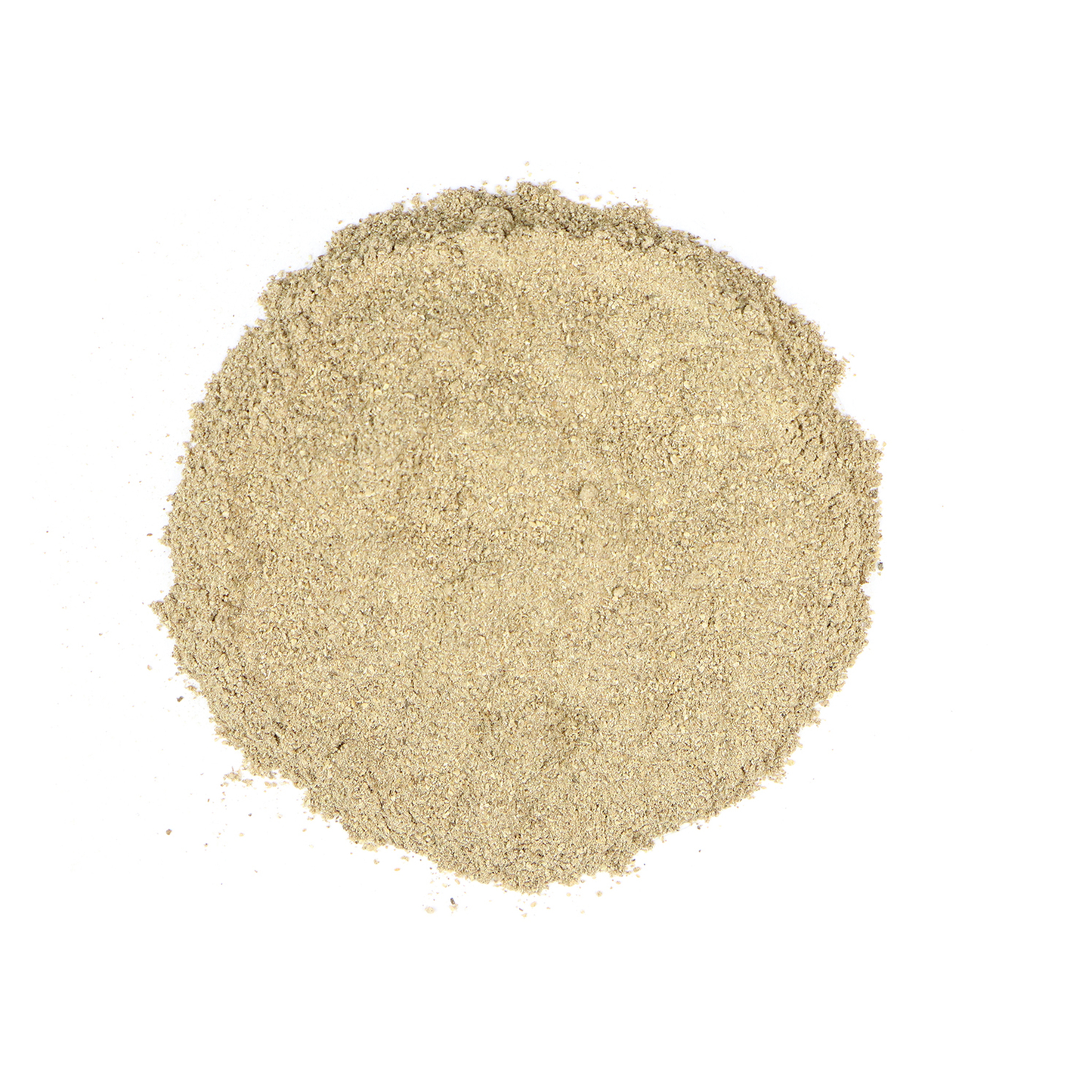 Dong Quai Root Powder (Angelica Sinensis)