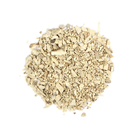 Pleurisy Root (Asclepias tuberose)