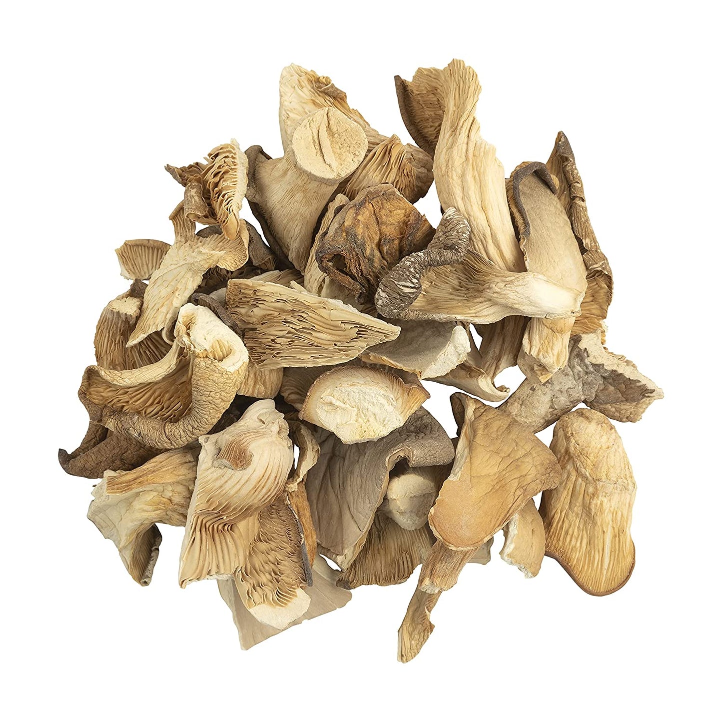 Oyster Mushroom