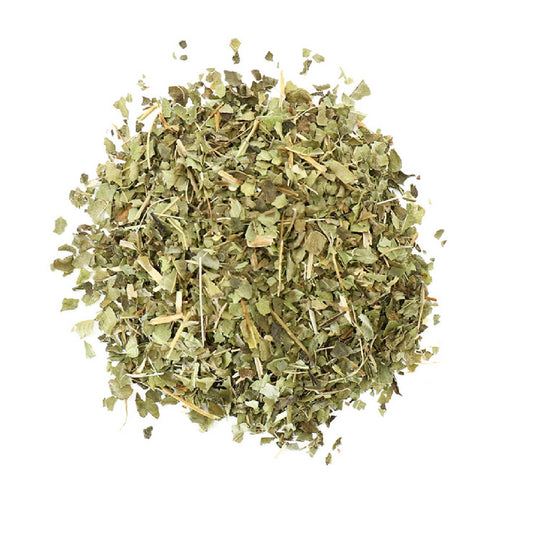 Lemon Verbena (Louisa / Luiza) Leaf, Cut