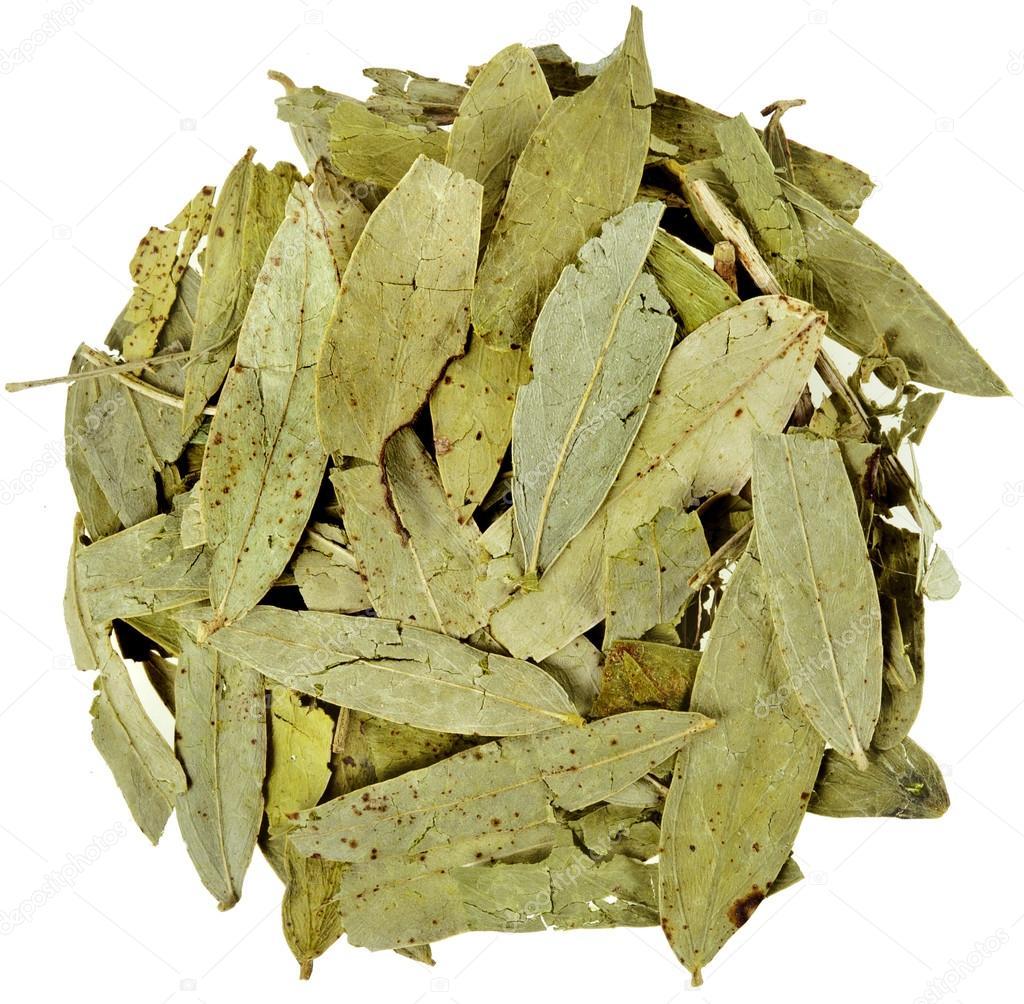 A pile of Dried Green Leaves very brittle used in indian cooking